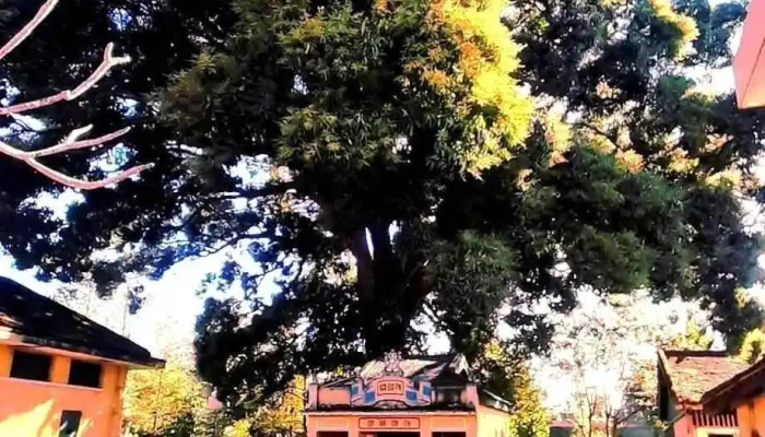 Nha Day Buon Ma Thuot Moi Nhat - Đắk Lắk