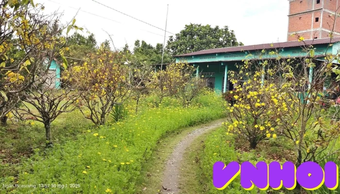 Nha Di Sau Tat Ca - Tiền Giang