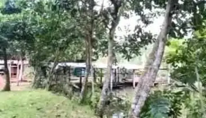 Nha Di Sau Video - Tiền Giang