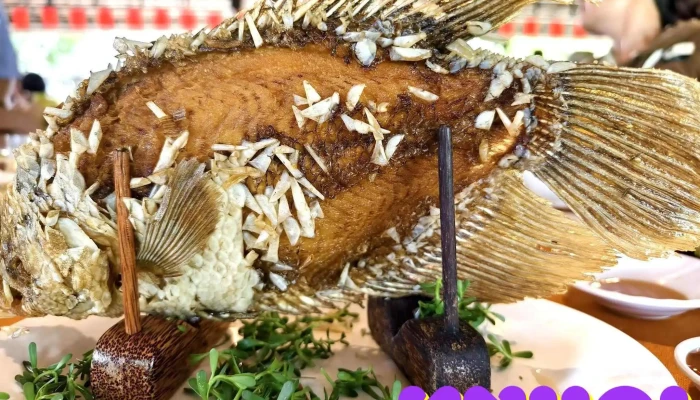 Nha Hang Con Phung Moi Nhat - Bến Tre