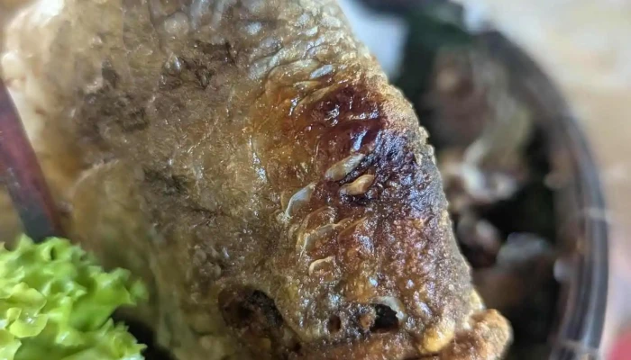 Nha Hang Sinh Thai Vuon Dau An Khanh Moi Nhat - Bến Tre
