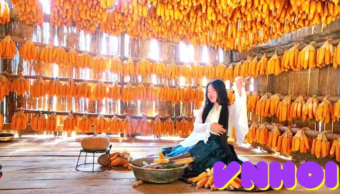 Nha Ngo Mang Mu Corn House Video - Yên Bái
