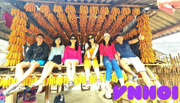 Nhà Ngô Màng Mủ (Corn House) - Yên Bái