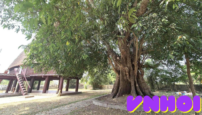 Nha Rong Konklor Kon Tum Moi Nhat - Kon Tum