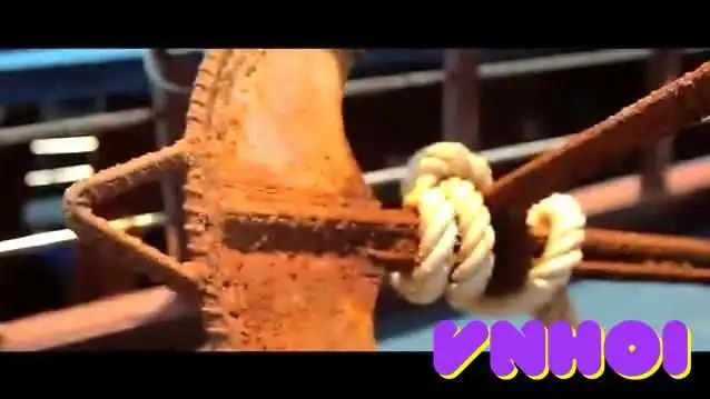 Nha Trang Fun Divers -  Cua Chu So Huu - Khánh Hòa