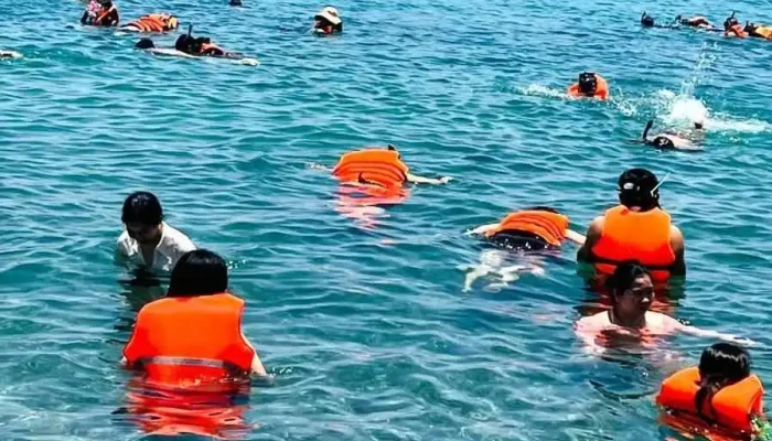 Nha Trang Snorkeling Tour Vuongland Travel Tat Ca - Khánh Hòa