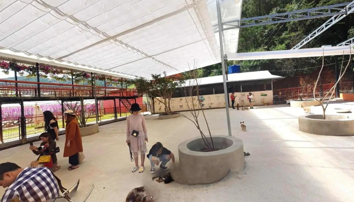Nong Trai Cun Puppy Farm Che Do Xem Pho Va 360deg - Lâm Đồng