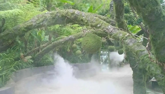 Nong Trai Cun Puppy Farm Moi Nhat - Lâm Đồng