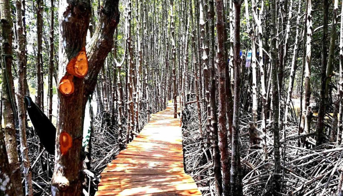 Nong Trai Tom Khoe Moi Nhat - Bạc Liêu