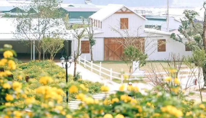 Nông Trại Cún Puppy Farm - Lâm Đồng