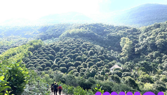 Núi ba tầng - Unnamed Road