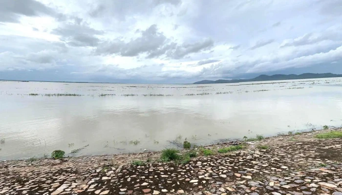 Nui Cau Che Do Xem Pho Va 360deg - Bình Dương