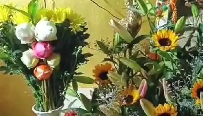Nui Cau Video - Bình Dương