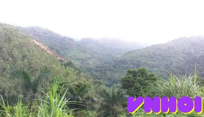 Nui Doi Bu -  Video - Hòa Bình
