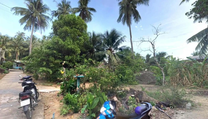 Ong Rua Hon Son Che Do Xem Pho Va 360deg - Kiên Giang