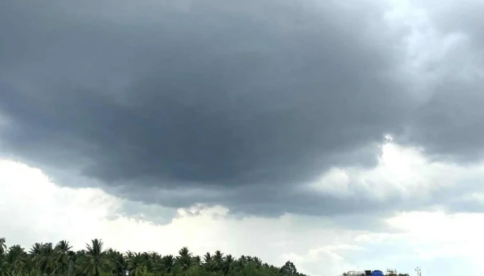 Pha Lo Vam Tat Ca - Tiền Giang