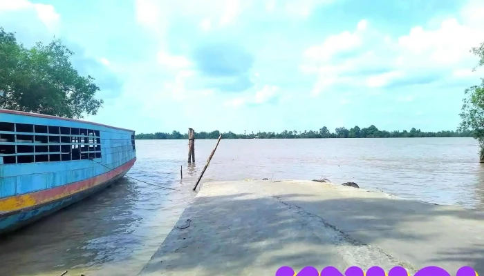 Phà qua Cồn Phong Nẫm (Vườn Chôm Chôm 7 Thống) - An Lạc Thôn
