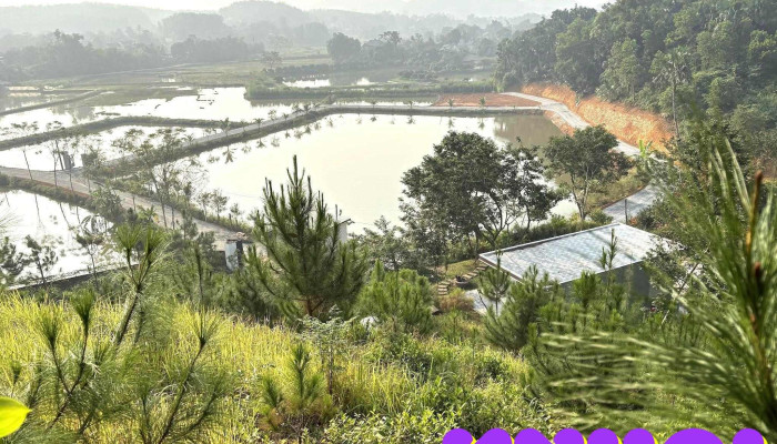 Phai Sông Farm - Tam Nông