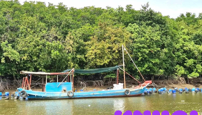 Phillip Farm - Hồ Chí Minh