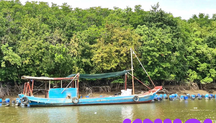 Phillip Farm -  Tat Ca - Hồ Chí Minh