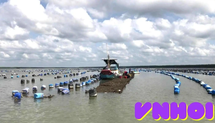Phillip Farm -  Video - Hồ Chí Minh