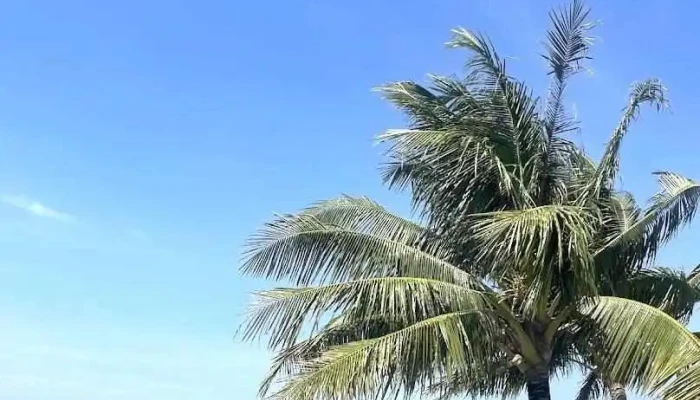 Phu Quoc Beach - Kiên Giang