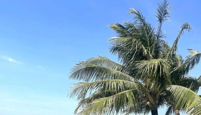 Phu Quoc Beach -  Tat Ca - Kiên Giang