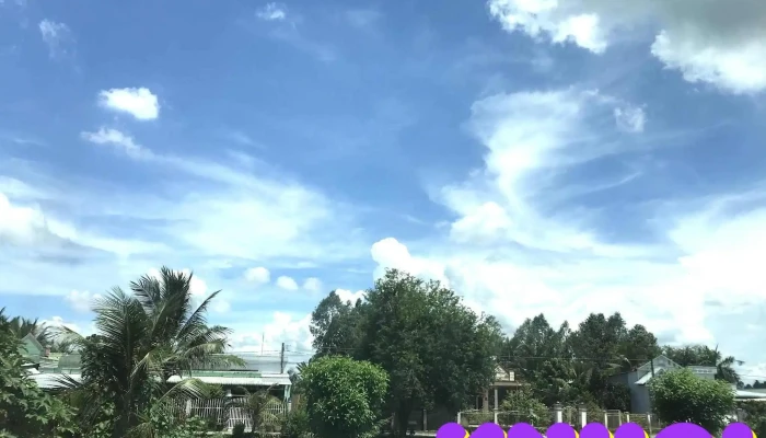 Phương Trang Lai Vung - Hòa Long