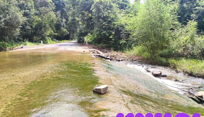 Phổ Cảnh Biểu Trưng Chiến Khu Đ - Unnamed Road