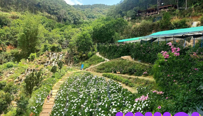 Pink Valley Da Lat Tat Ca - Lâm Đồng
