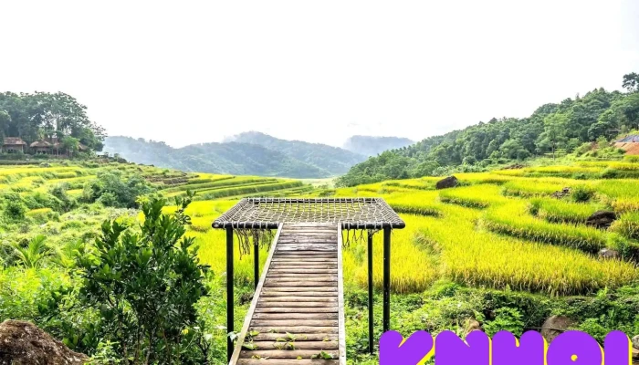 Pu Luong Ecocharm -  Cua Khach Tro - Thanh Hóa