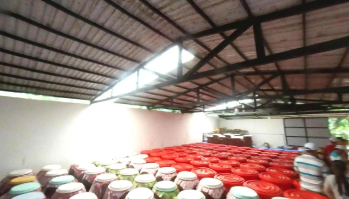 Quoc An Pearl Farm Phu Quoc -  Che Do Xem Pho Va 360deg - Kiên Giang