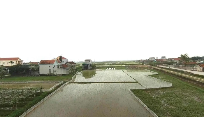 Quynh Giang Tat Ca - Nghệ An