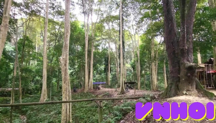 Rung Sang Le Tam Dinh   Tuong Duong Video - Nghệ An
