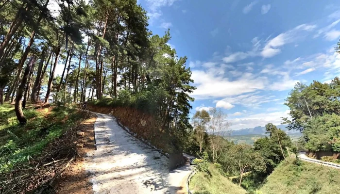 Rung Thong Yen Minh Che Do Xem Pho Va 360deg - Hà Giang