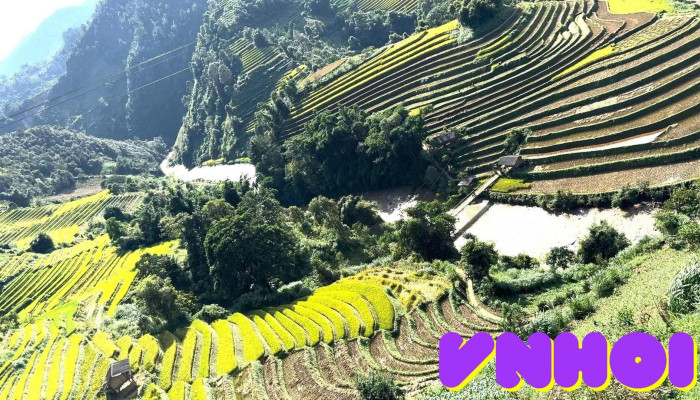 Ruong Bac Thang Mu Cang Chai Video - Yên Bái