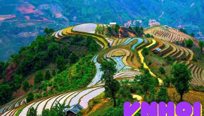 Ruộng bậc thang Xím Vàng (Mộc) - Xín Vàng