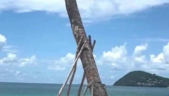 S -  Town Tropical Village Kem Beach Phu Quoc Video - Kiên Giang