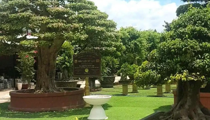 Sadec Bonsai Garden -    Khu Du Lich Hoa Kieng Sa Dec Video - Đồng Tháp