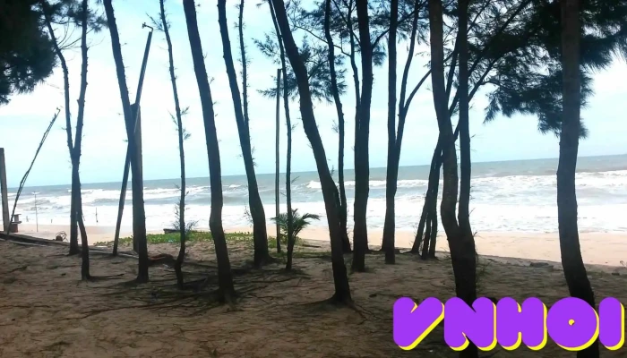 Sai Gon Suoi Nhum Resort Video - Bình Thuận