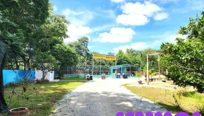 San Pickleball Duy Lan Tanh Linh Cong Vien - Bình Thuận