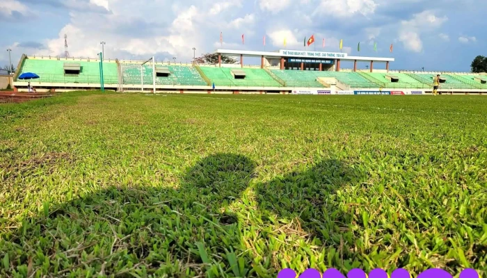 San Van Dong Tinh Tien Giang Tat Ca - Tiền Giang