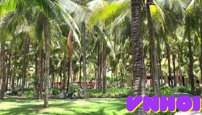 Sea Lion Beach Resort -  Ngoai That - Bình Thuận