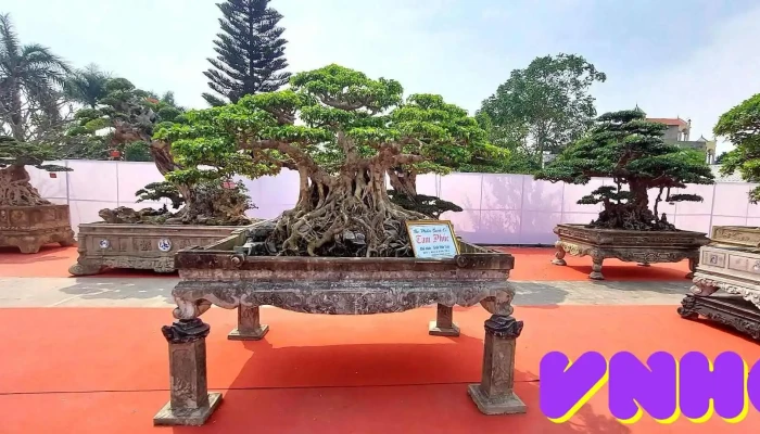 So Van Hoa The Thao Du Lich Tinh Hung Yen Tat Ca - Hưng Yên