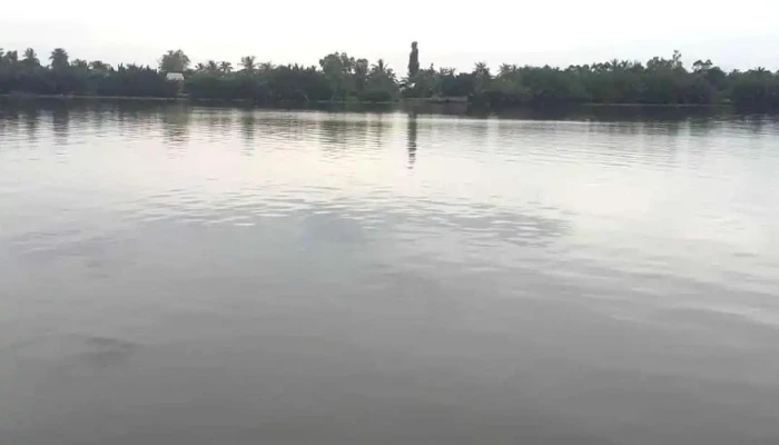 Song Cai Lon Video - Kiên Giang