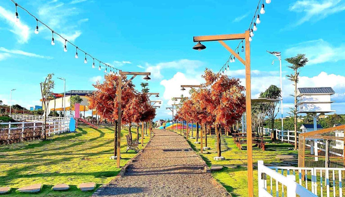 Sun Valley Farm -  Cua Chu So Huu - Lâm Đồng