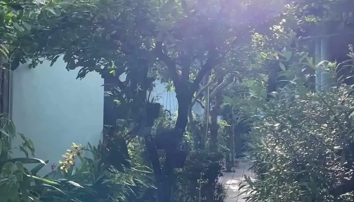 Sunlight Bungalow -  Ngoai That - Kiên Giang