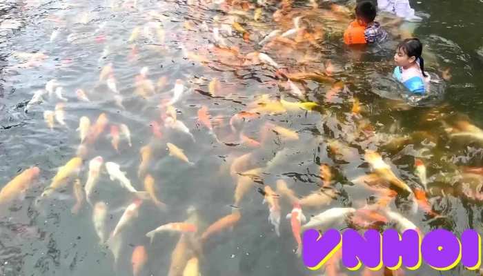 Suoi Ca Vang Khe To Video - Nghệ An