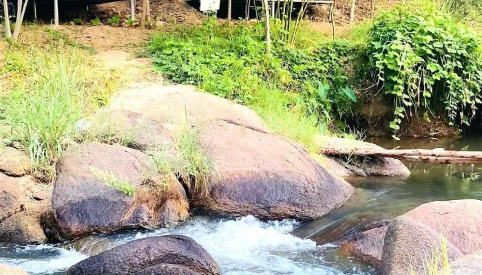 Suoi Mo Doc Tinh Glamping Retreat Ninh Thuong Ninh Hoa Khanh Hoa Video - Khánh Hòa