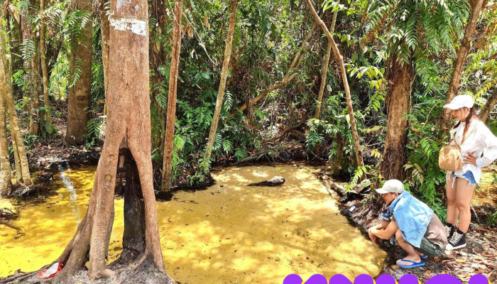 Suoi Nuoc Nong Bung Thi Tat Ca - Bình Thuận